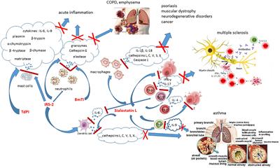 Deciphering Biological Processes at the Tick-Host Interface Opens New Strategies for Treatment of Human Diseases